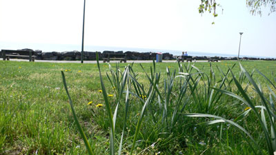 Unterwegs001
