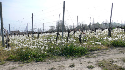 Unterwegs001