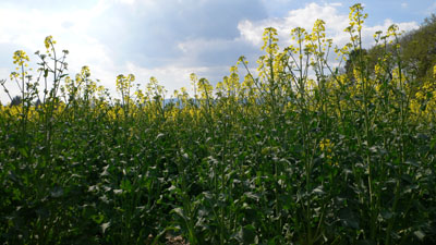 Unterwegs001