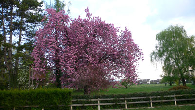 Unterwegs004