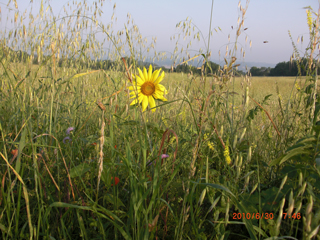 Unterwegs024