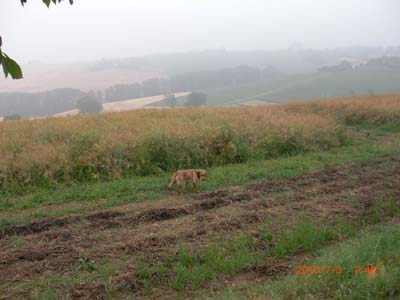 Unterwegs037
