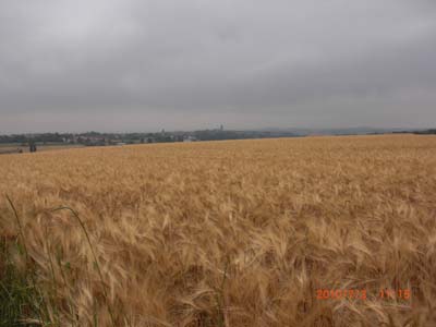 Unterwegs038