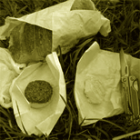 Picknick